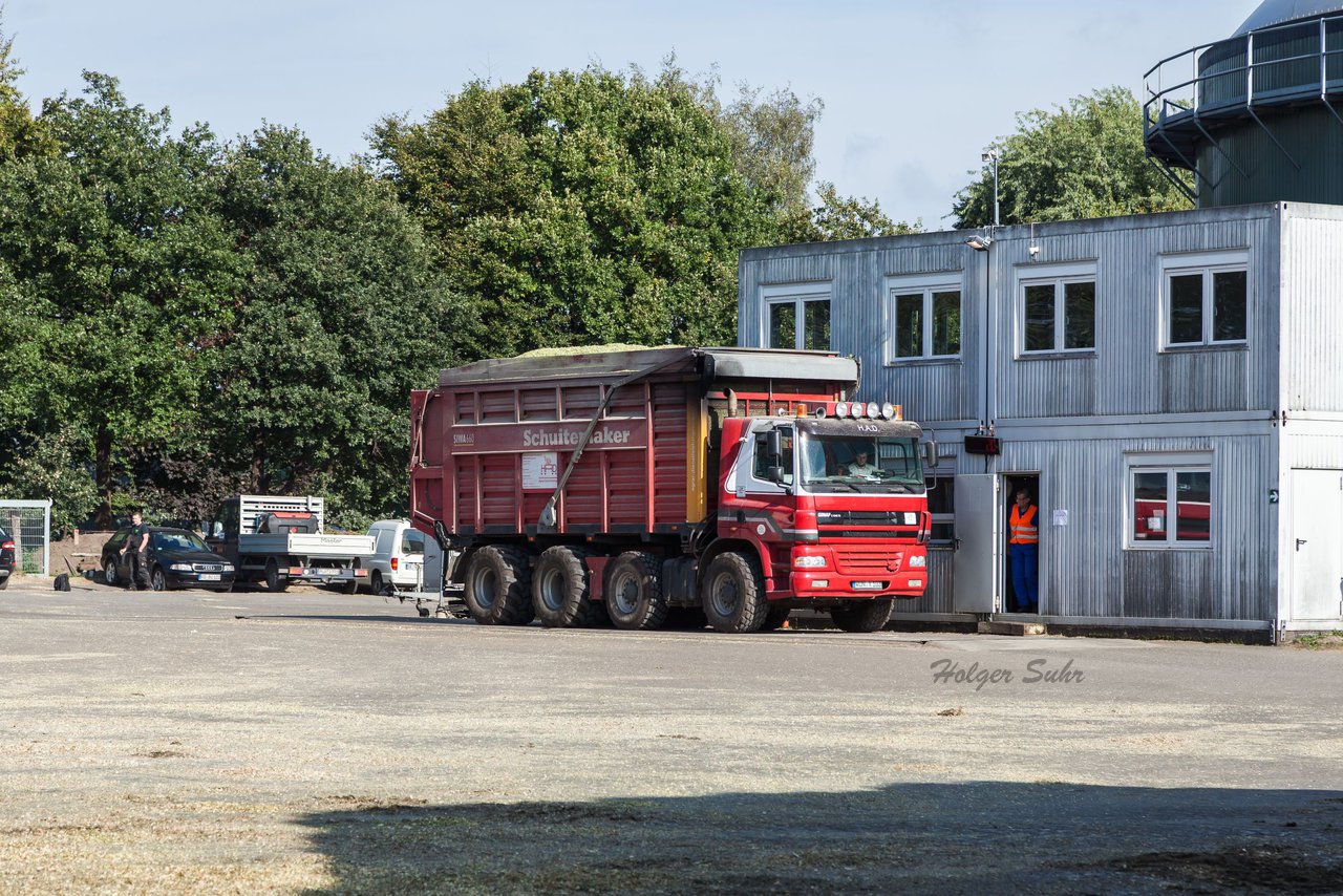 Bild 119 - Maisernte